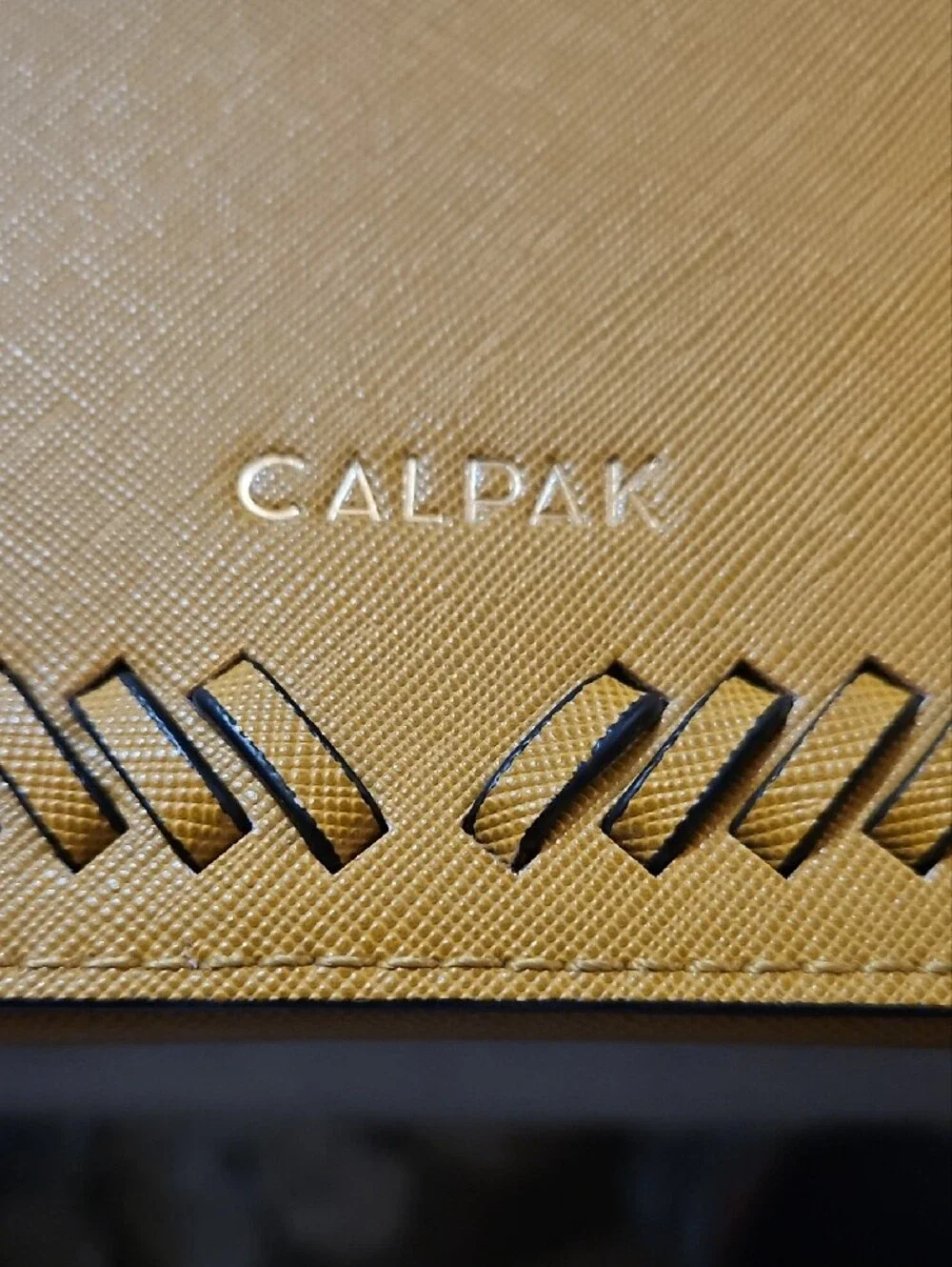 Calpak chic modern